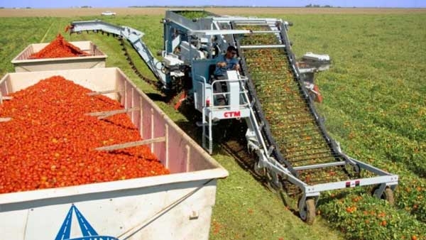 Thumbnail image for Chapter 8. Harvesting and Handling Fresh Produce
