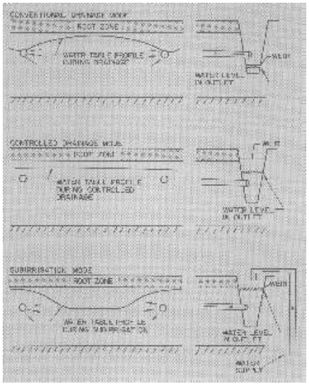 Thumbnail image for Operating Controlled Drainage and Subirrigation Systems