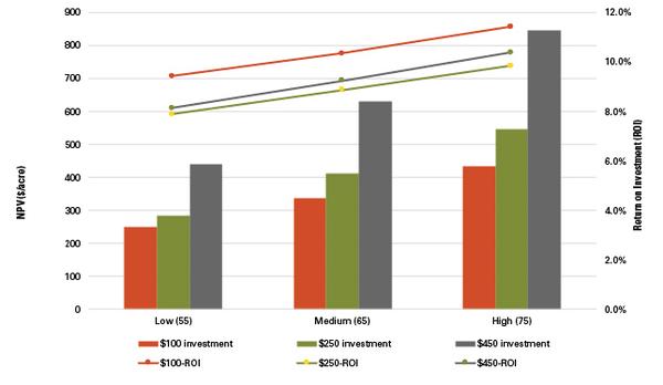 Thumbnail image for Is Reforestation a Profitable Investment? An Economic Analysis